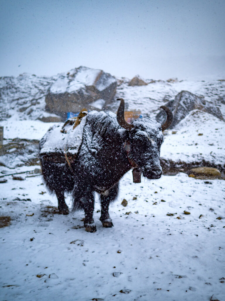 Mera Peak Expedition / Mera Peak