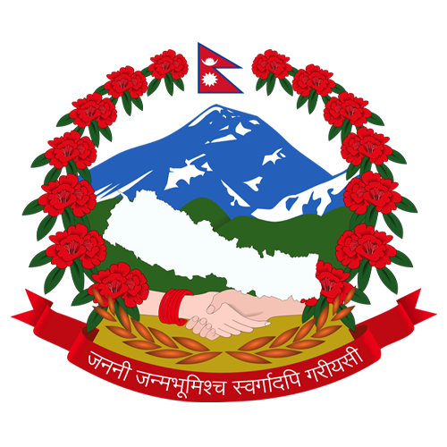 Department of Tourism